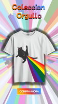 Camiseta DTF gato