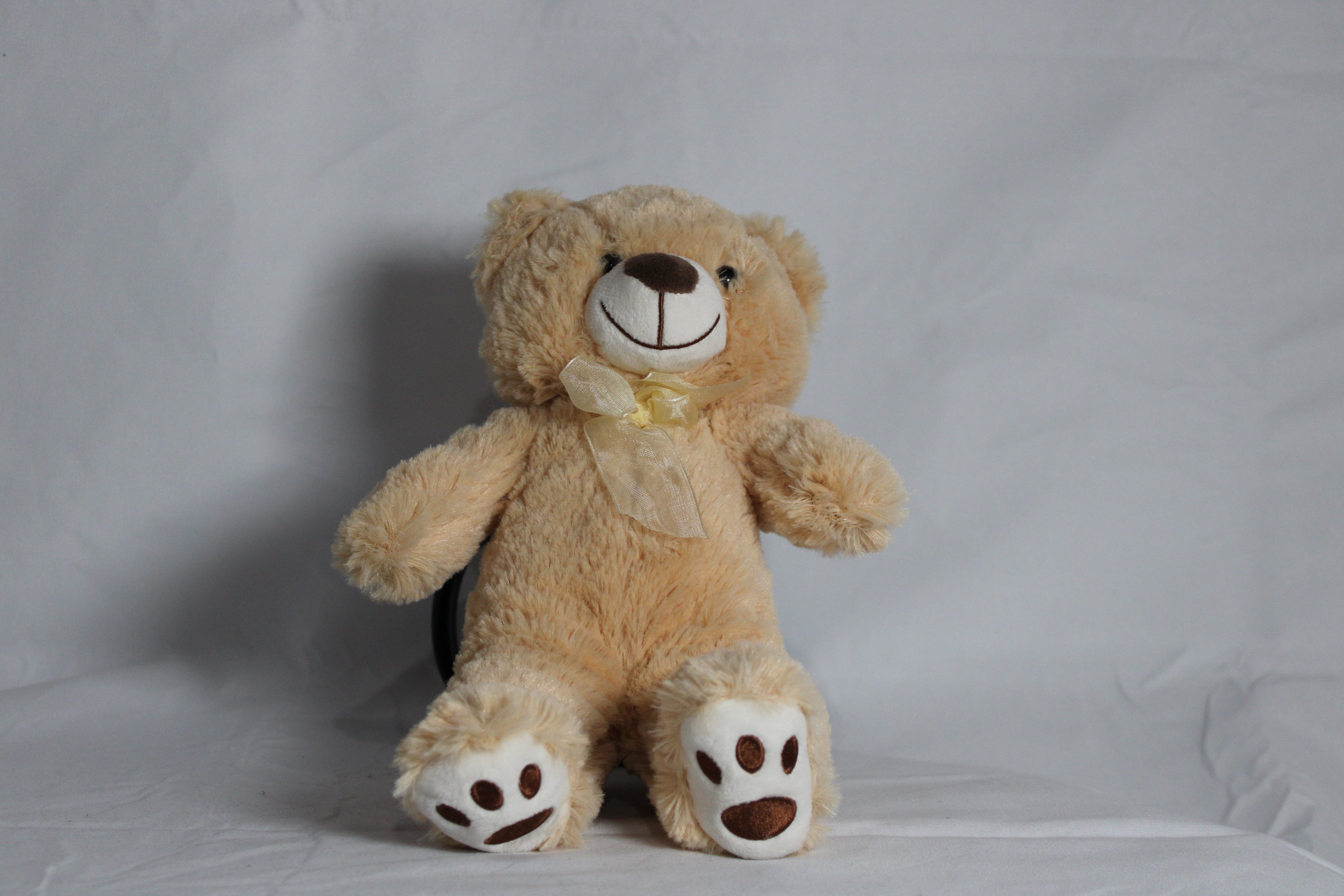peluche de oso beige