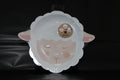 Plato oveja